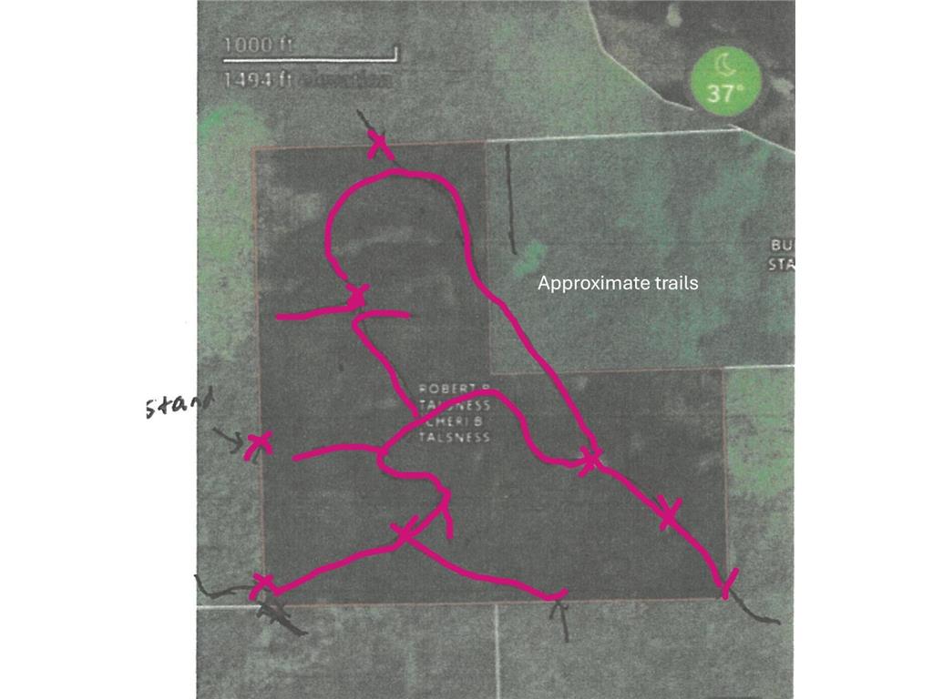 TBD N Moose Lake Road Pennington MN 56663 7107353 image4
