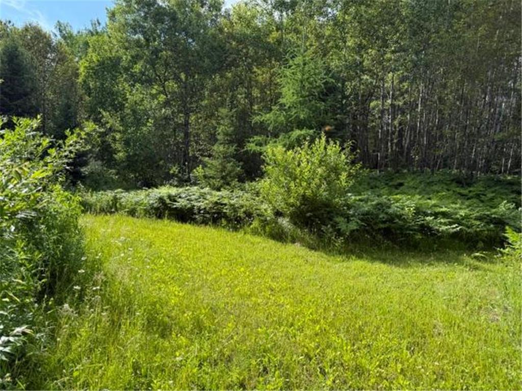 TBD N Moose Lake Road Pennington MN 56663 7107353 image5