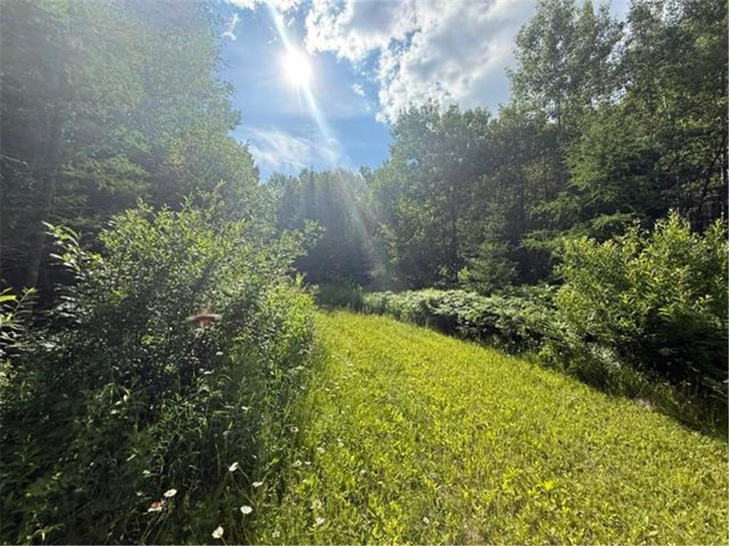 TBD N Moose Lake Road Pennington MN 56663 7107353 image6