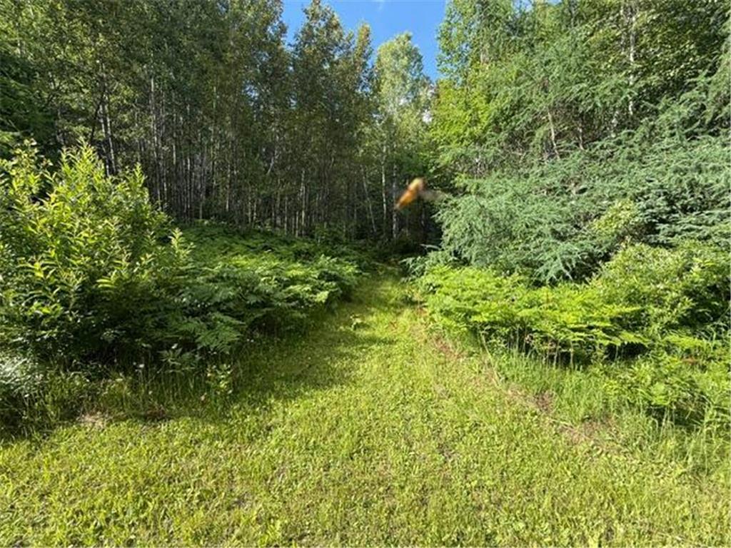 TBD N Moose Lake Road Pennington MN 56663 7107353 image7