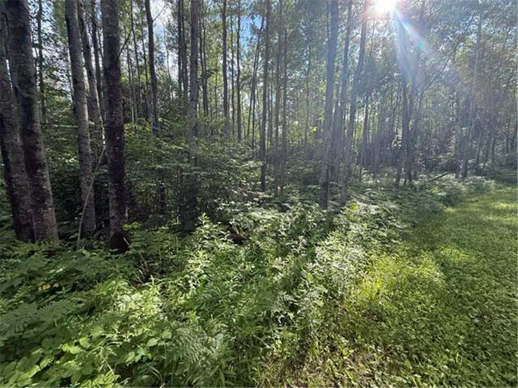 TBD N Moose Lake Road Pennington MN 56663 7107353 image8