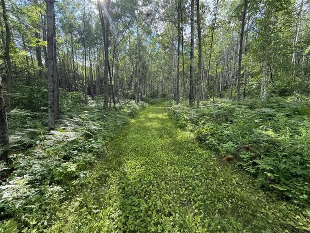 TBD N Moose Lake Road Pennington MN 56663 7107353 image9