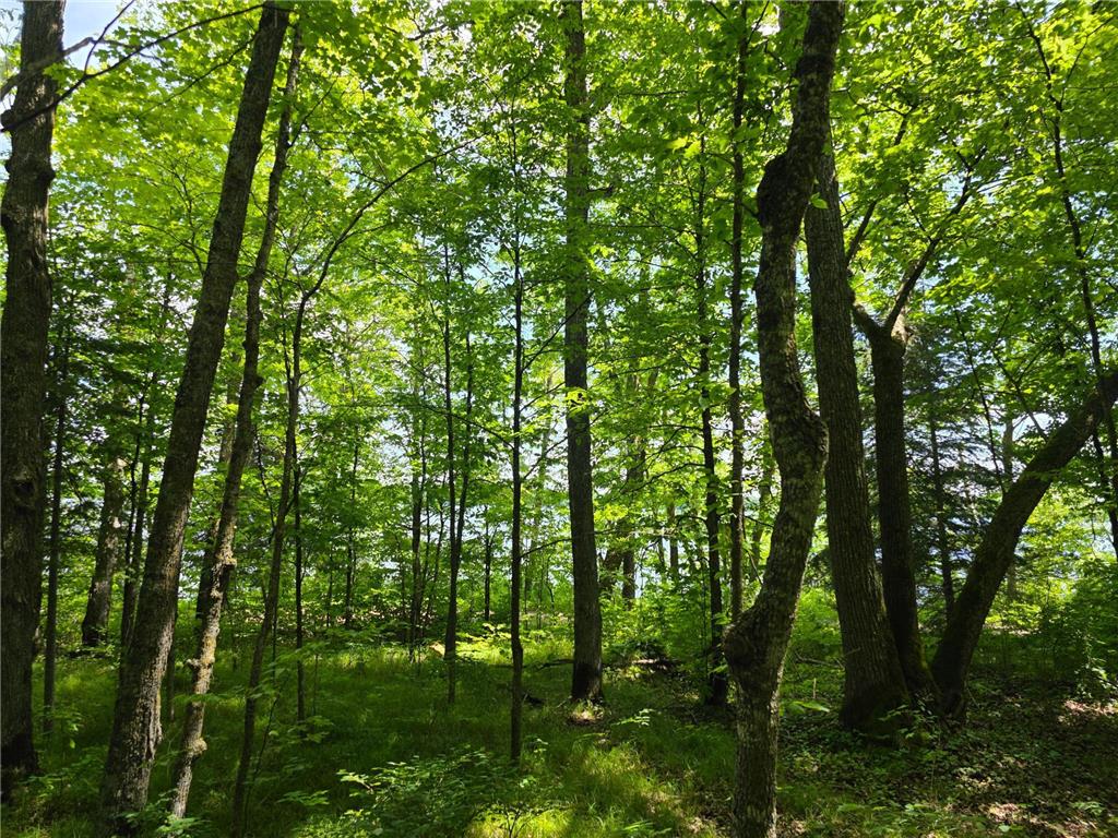 TBD N Moose Lake Road NE Moose Lake Twp MN 56663 - Moose Lake 6747600 image10