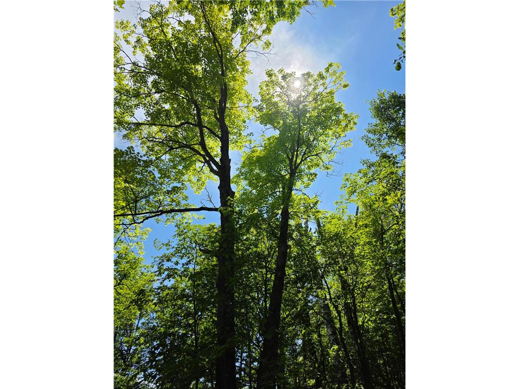 TBD N Moose Lake Road NE Moose Lake Twp MN 56663 - Moose Lake 6747600 image11