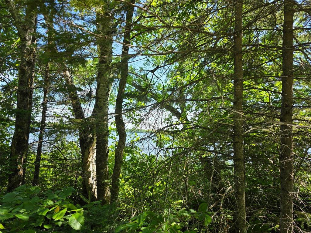 TBD N Moose Lake Road NE Moose Lake Twp MN 56663 - Moose Lake 6747600 image13