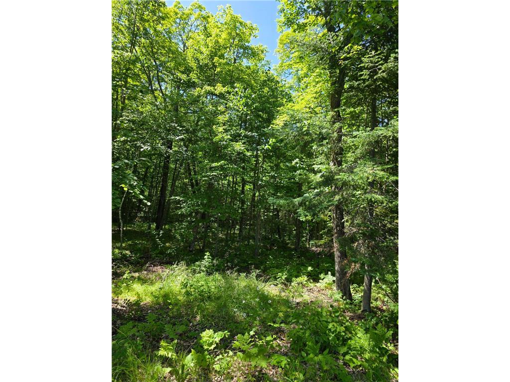 TBD N Moose Lake Road NE Moose Lake Twp MN 56663 - Moose Lake 6747600 image15