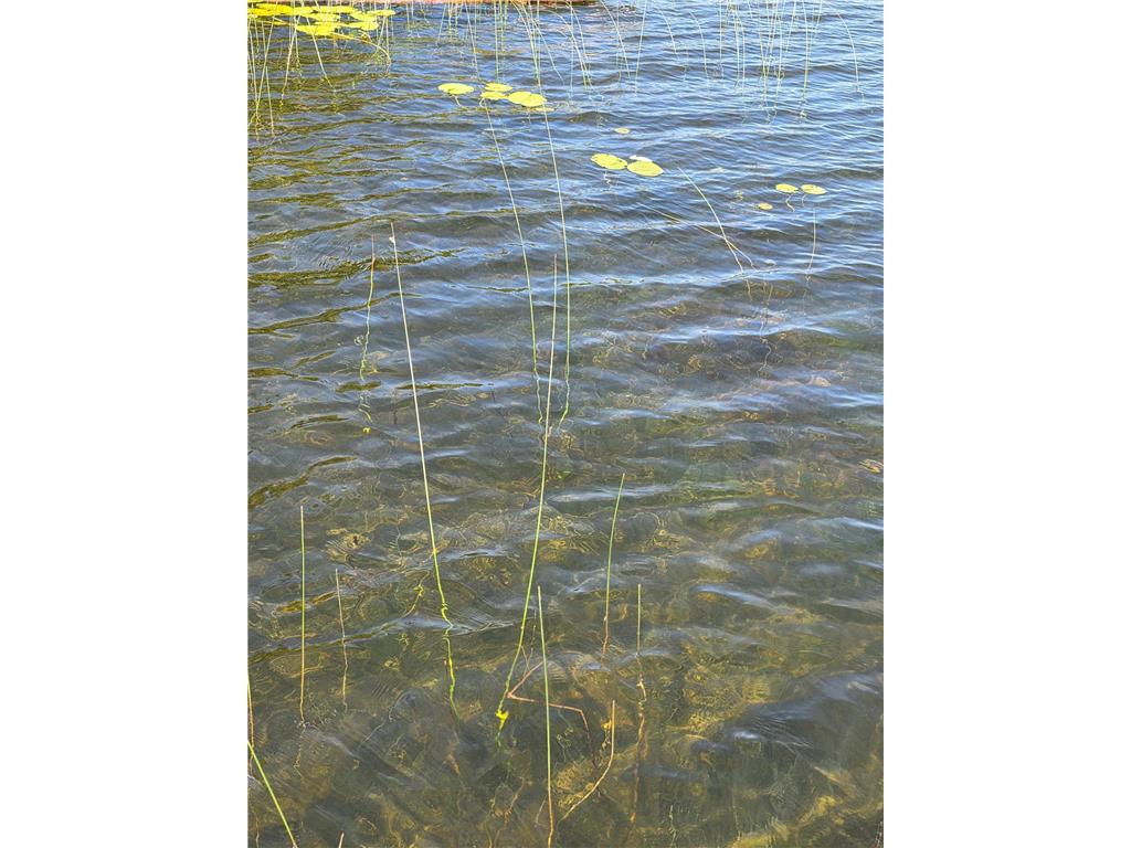 TBD N Moose Lake Road NE Moose Lake Twp MN 56663 - Moose Lake 6747600 image2