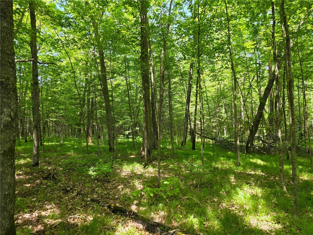 TBD N Moose Lake Road NE Moose Lake Twp MN 56663 - Moose Lake 6747600 image9