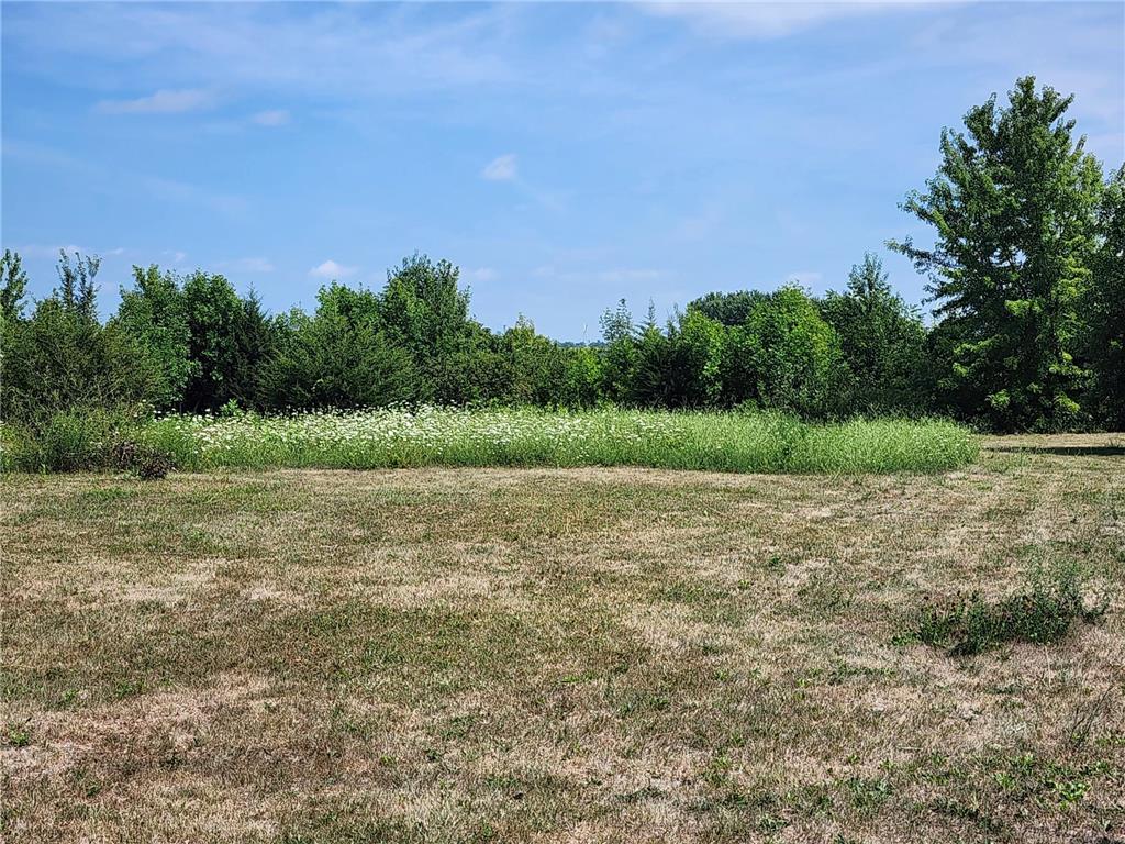 TBD N Pine Street Dexter MN 55926 6386049 image1