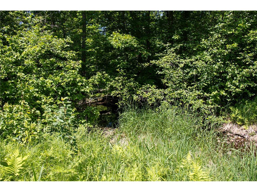 00 N Riverside Road Moose Lake Twp MN 55767 - Moose Horn River 6743419 image13