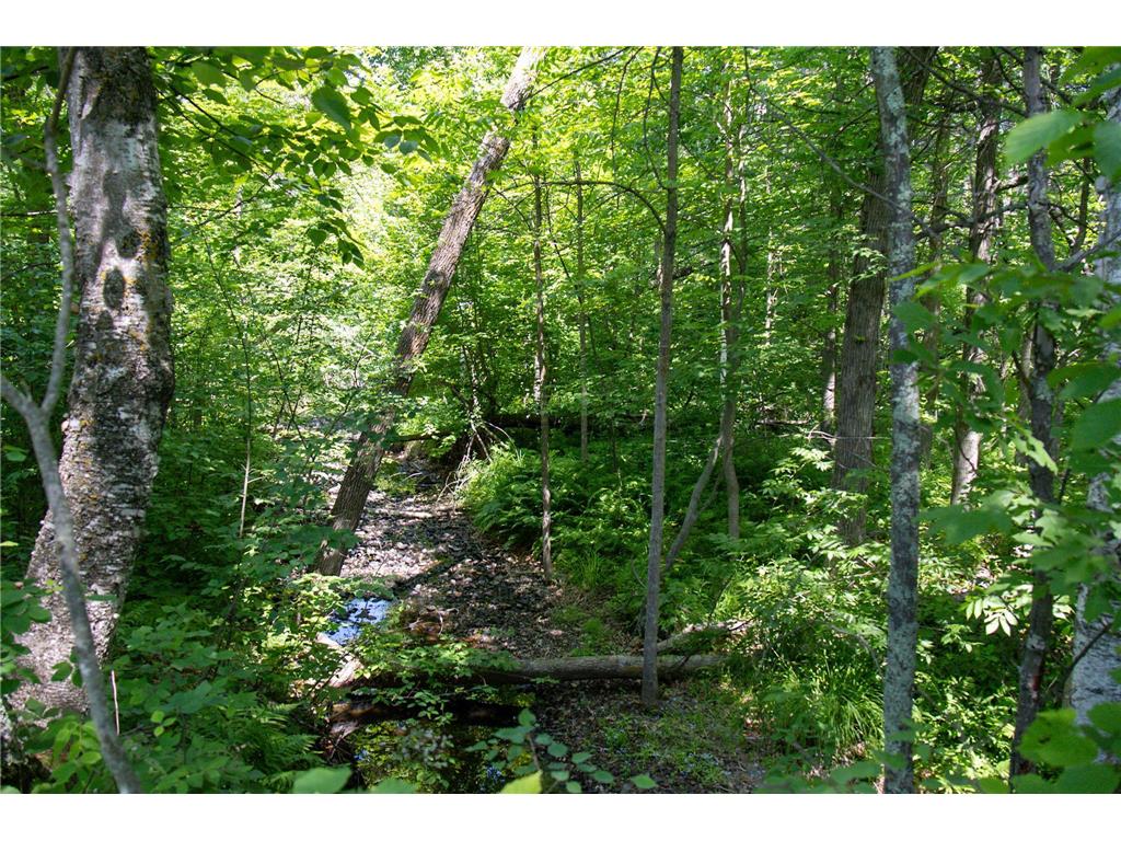 00 N Riverside Road Moose Lake Twp MN 55767 - Moose Horn River 6743419 image3