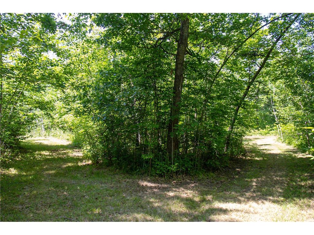 00 N Riverside Road Moose Lake Twp MN 55767 - Moose Horn River 6743419 image4