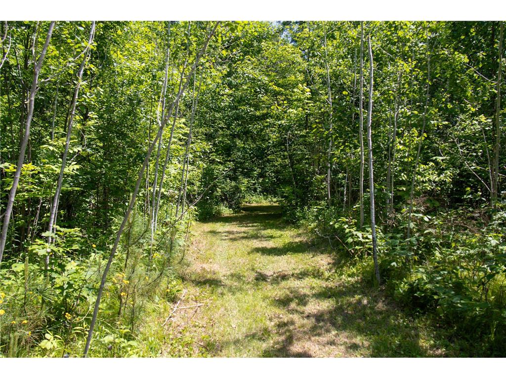 00 N Riverside Road Moose Lake Twp MN 55767 - Moose Horn River 6743419 image7