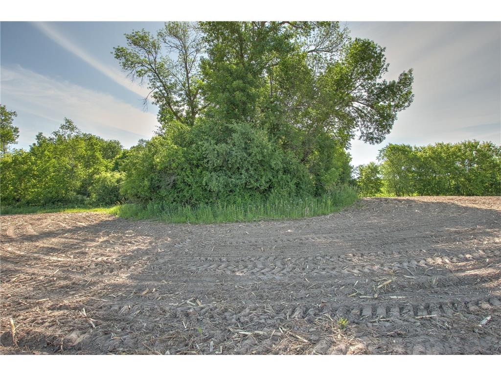 TBD N Rush Point Drive W Stanchfield MN 55080 7093241 image13