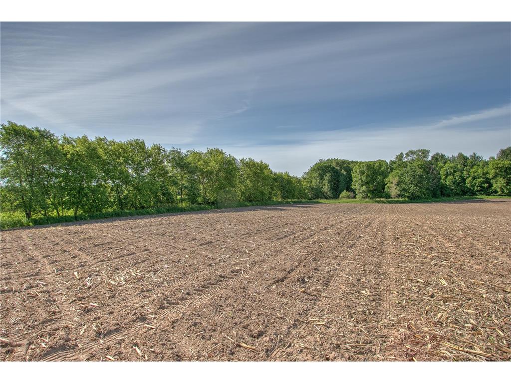 TBD N Rush Point Drive W Stanchfield MN 55080 7093241 image14