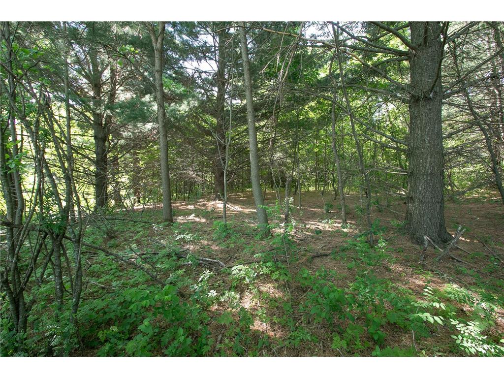 TBD N Rush Point Drive W Stanchfield MN 55080 7093241 image17
