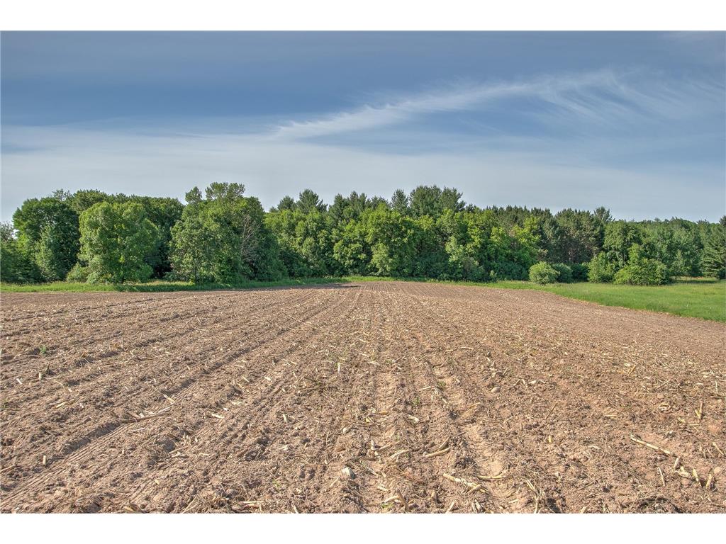 TBD N Rush Point Drive W Stanchfield MN 55080 7093241 image21