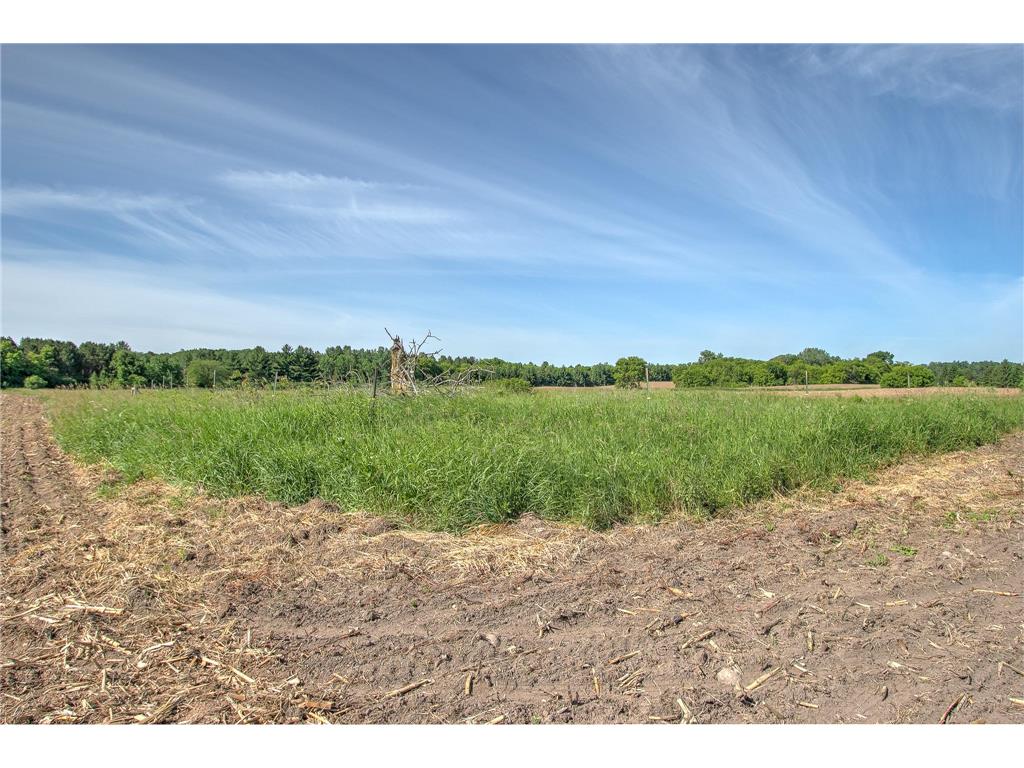 TBD N Rush Point Drive W Stanchfield MN 55080 7093241 image25