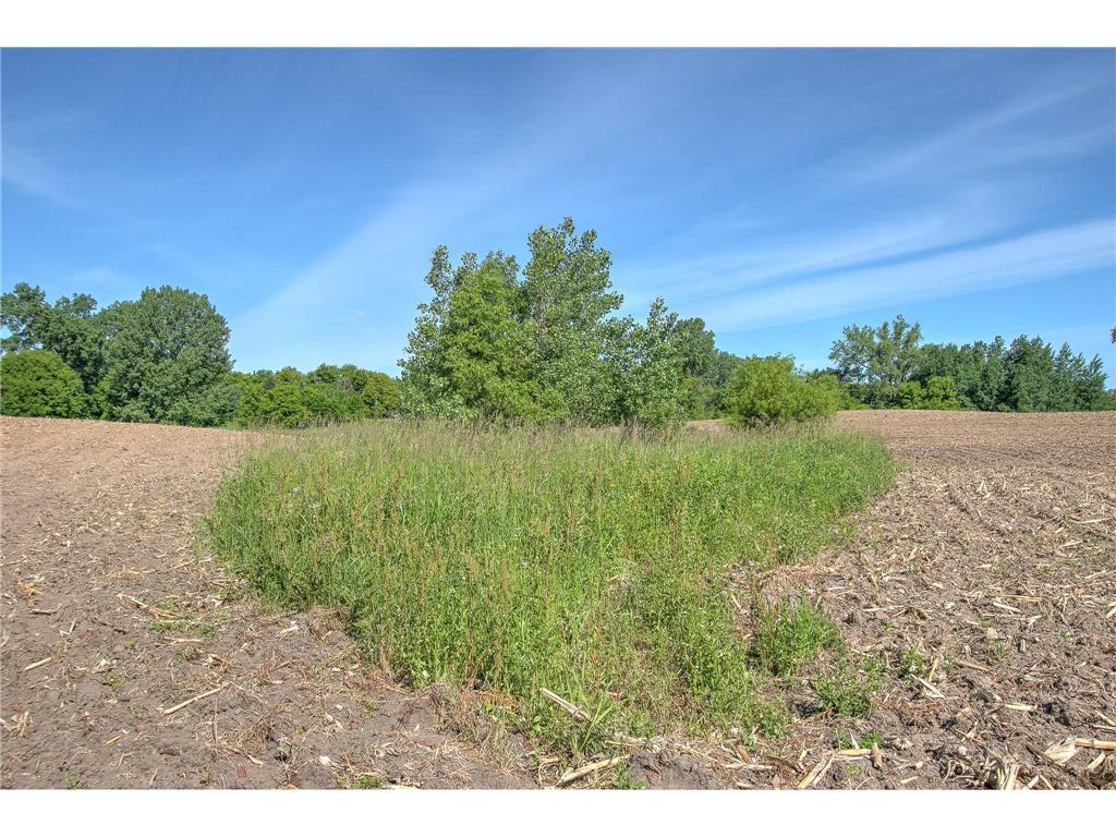 TBD N Rush Point Drive W Stanchfield MN 55080 7093241 image28