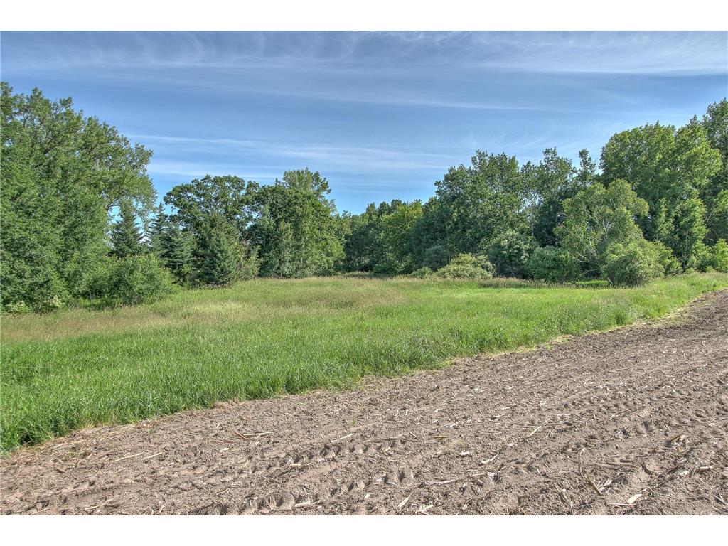TBD N Rush Point Drive W Stanchfield MN 55080 7093241 image5