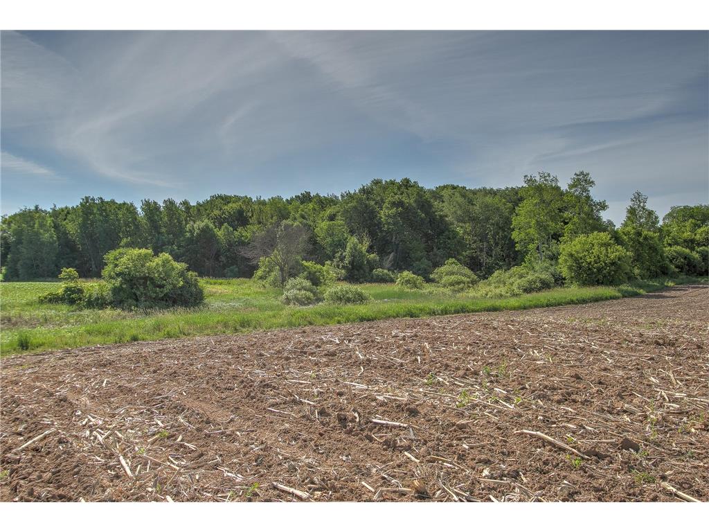 TBD N Rush Point Drive W Stanchfield MN 55080 7093241 image8