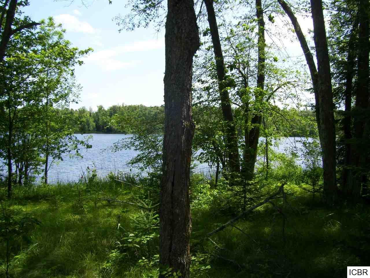 TBD N SUCKER LAKE RD, Nashwauk, MN, 55769 MLS 5690192 Edina Realty