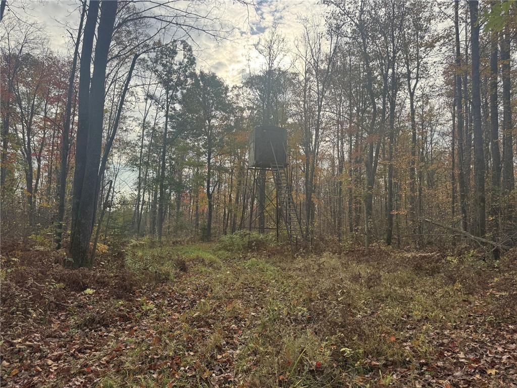 TBD N State Road 40 Radisson WI 54835 6803269 image20