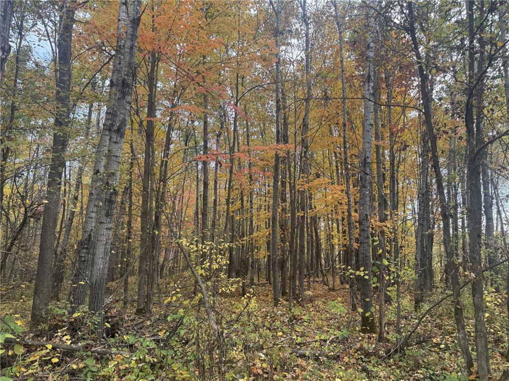 TBD N State Road 40 Radisson WI 54835 7072803 image11