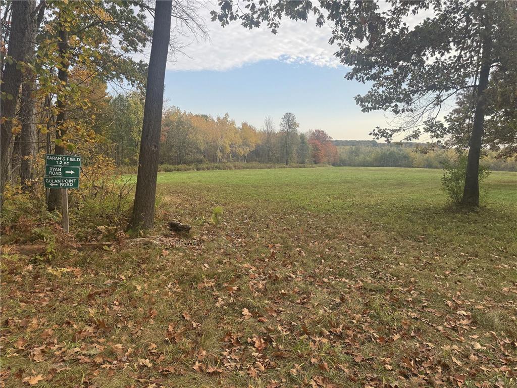 TBD N State Road 40 Radisson WI 54835 7072803 image16
