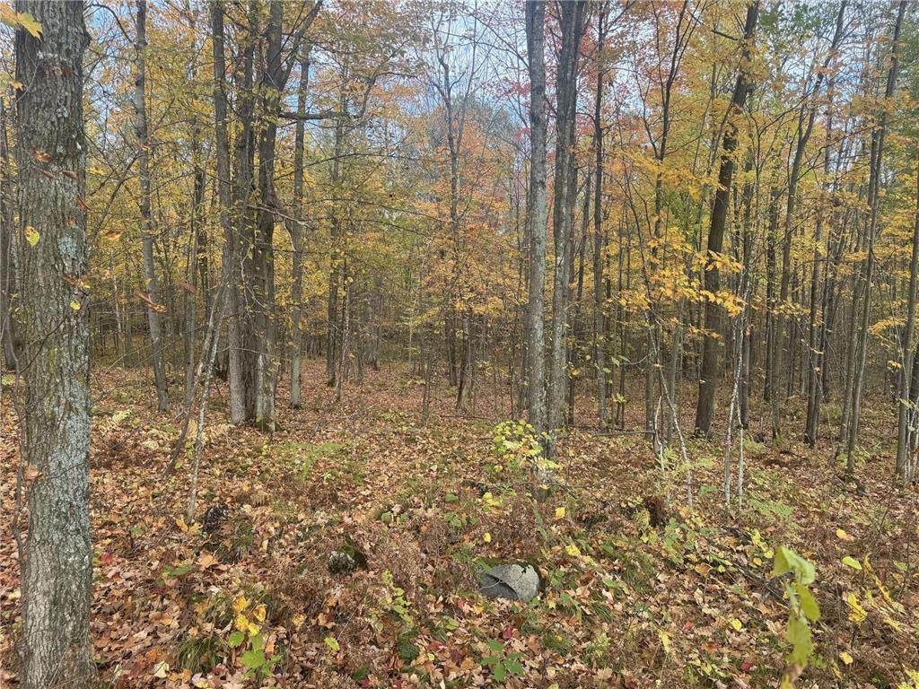 TBD N State Road 40 Radisson WI 54835 7072803 image19