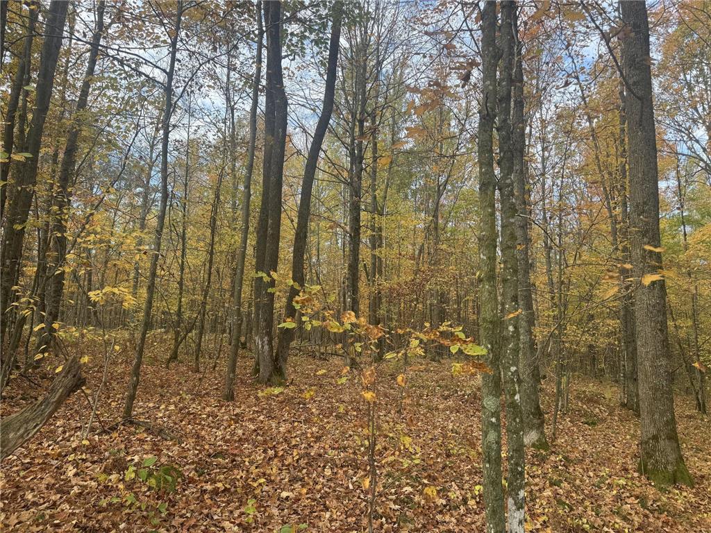 TBD N State Road 40 Radisson WI 54835 7072803 image20