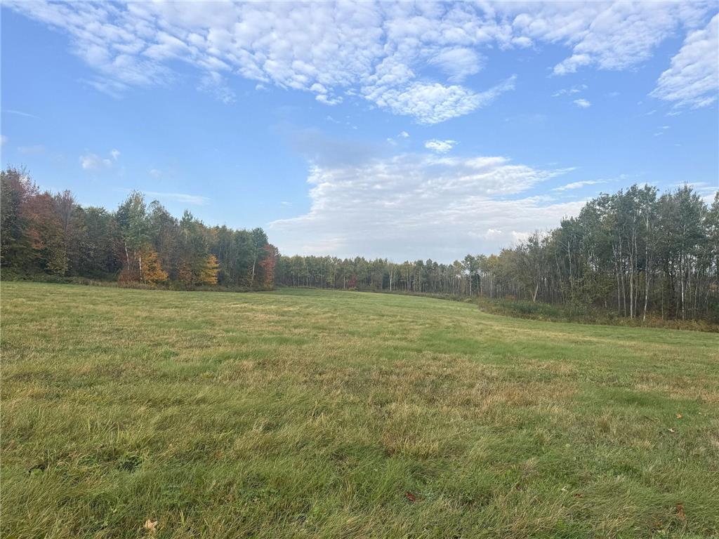 TBD N State Road 40 Radisson WI 54835 7072803 image21