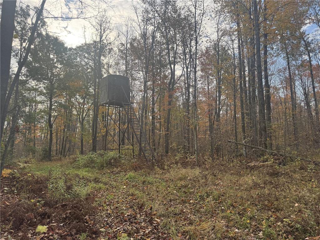 TBD N State Road 40 Radisson WI 54835 7072803 image23