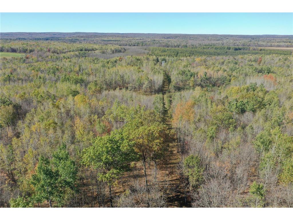 TBD N State Road 40 Radisson WI 54835 7072803 image34