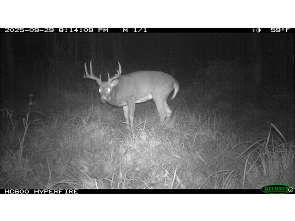 TBD N State Road 40 Radisson WI 54835 7072803 image36