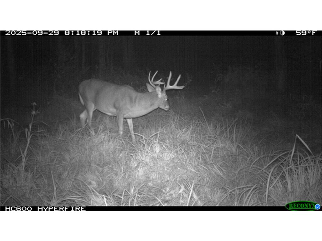 TBD N State Road 40 Radisson WI 54835 7072803 image37