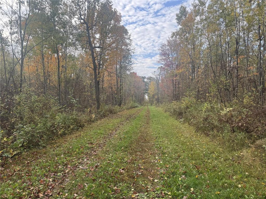 TBD N State Road 40 Radisson WI 54835 7072803 image4