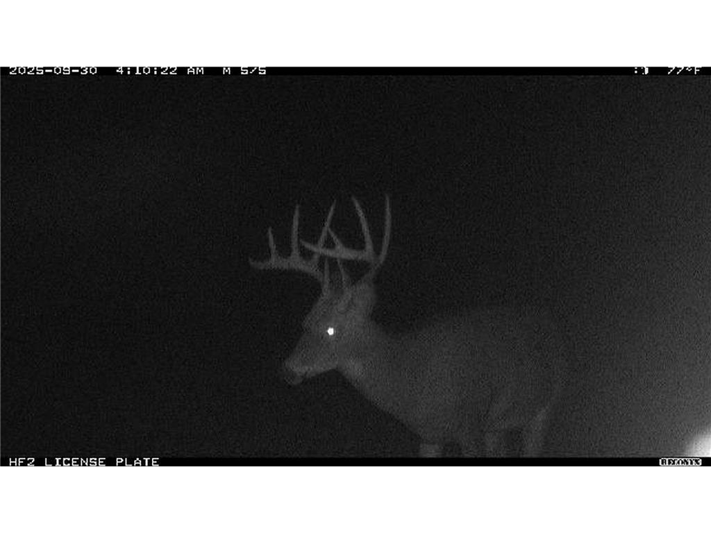 TBD N State Road 40 Radisson WI 54835 7072803 image40
