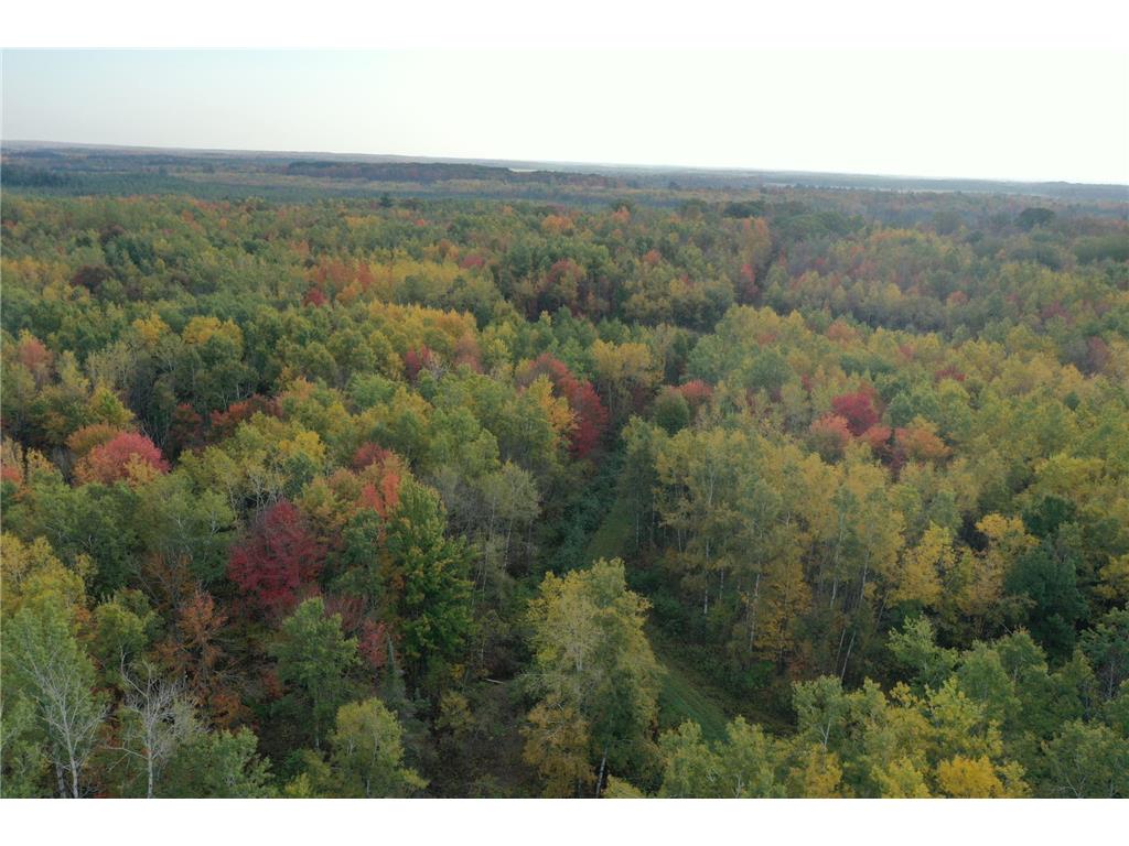 TBD N State Road 40 Radisson WI 54835 7072803 image5