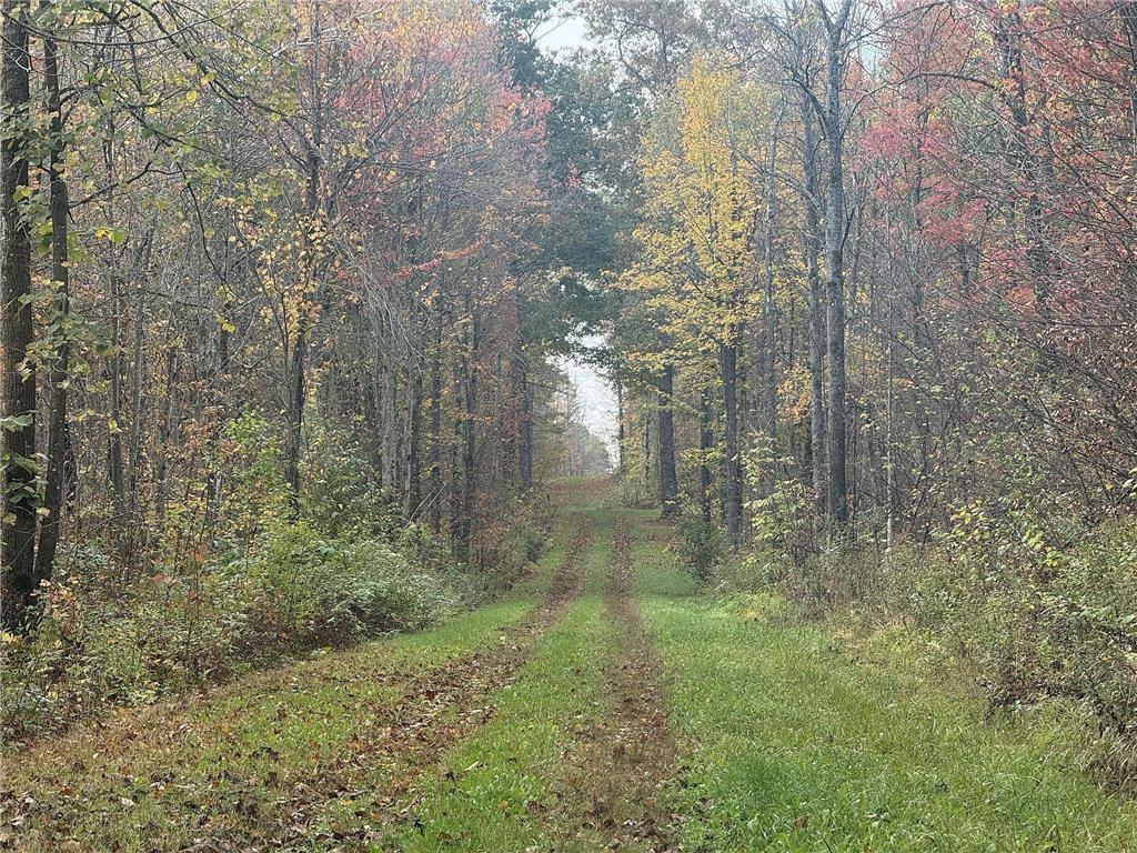 TBD N State Road 40 Radisson WI 54835 7072803 image7