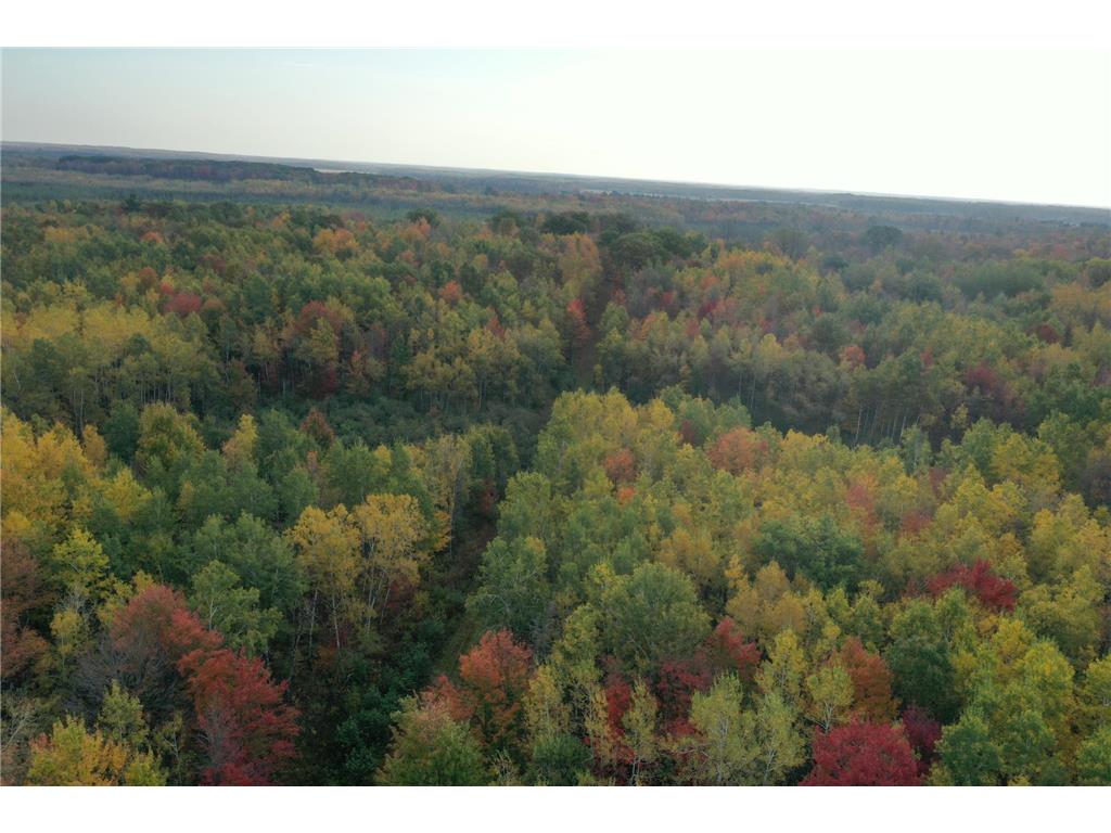 TBD N State Road 40 Radisson WI 54835 7072803 image8