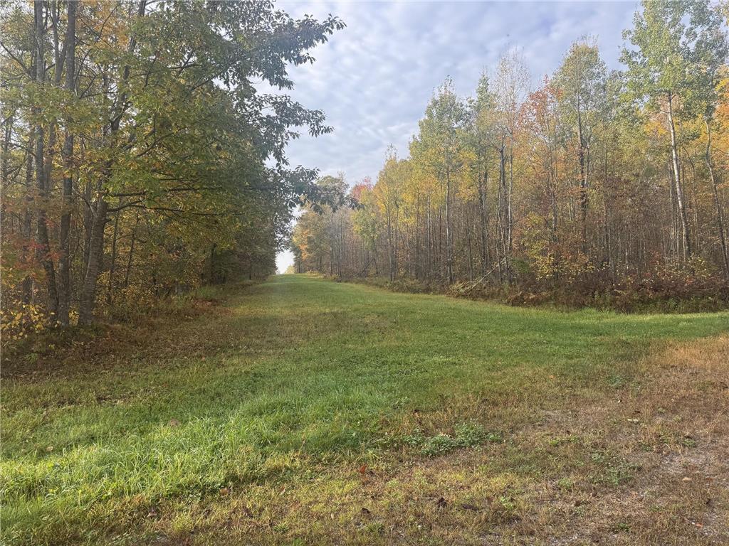 TBD N State Road 40 Radisson WI 54835 7072803 image9