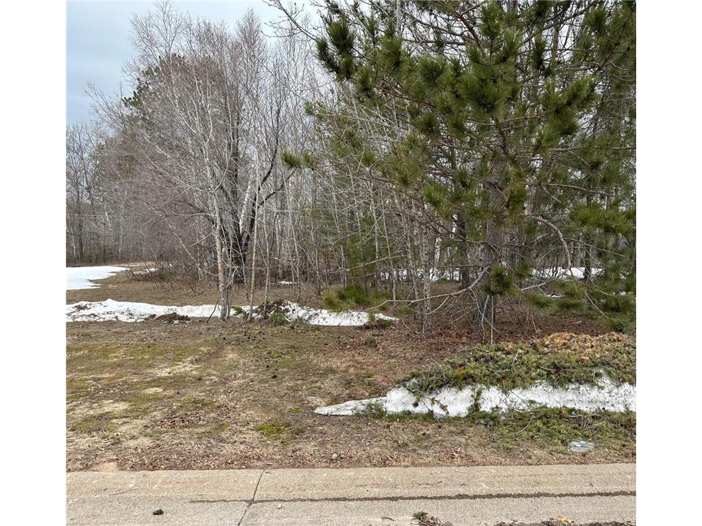 TBD NE 20th Street Grand Rapids MN 55744 6354686 image1