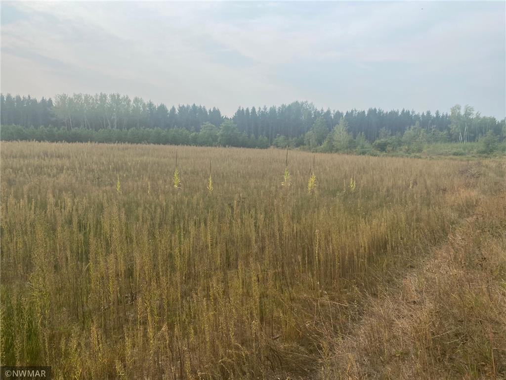 TBD NE Cass line RD Huntersville Twp MN 56464 6260524 image1