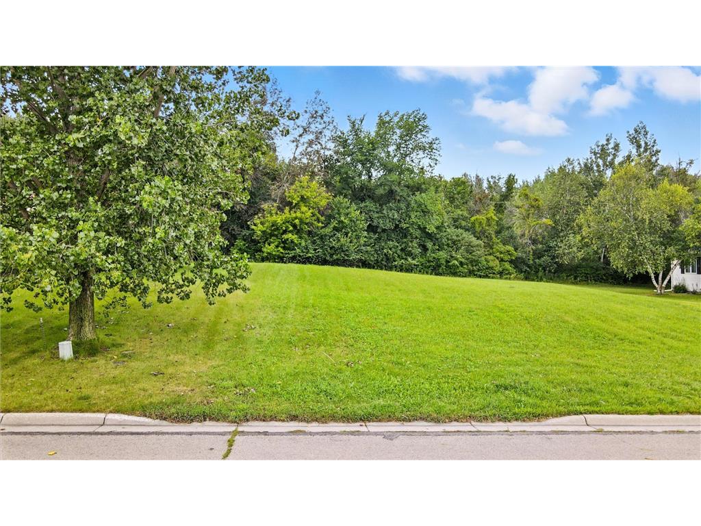 TBD NE Mineral Springs Parkway Owatonna MN 55060 6762645 image3