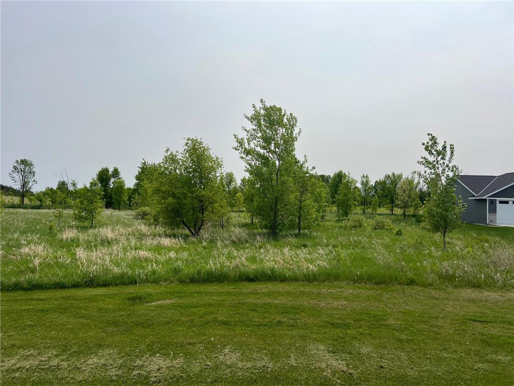 TBD LOT-004 Geneva Golf Club Dr NE Alexandria Twp MN 56308 7019114 image2