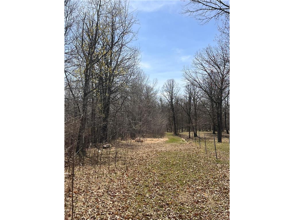 TBD NW 148th Street Cass Lake MN 56633 7072547 image1