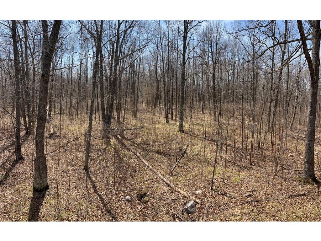 TBD NW 148th Street Cass Lake MN 56633 7072547 image15