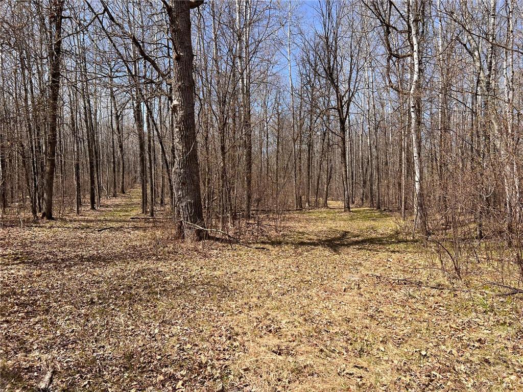 TBD NW 148th Street Cass Lake MN 56633 7072547 image17