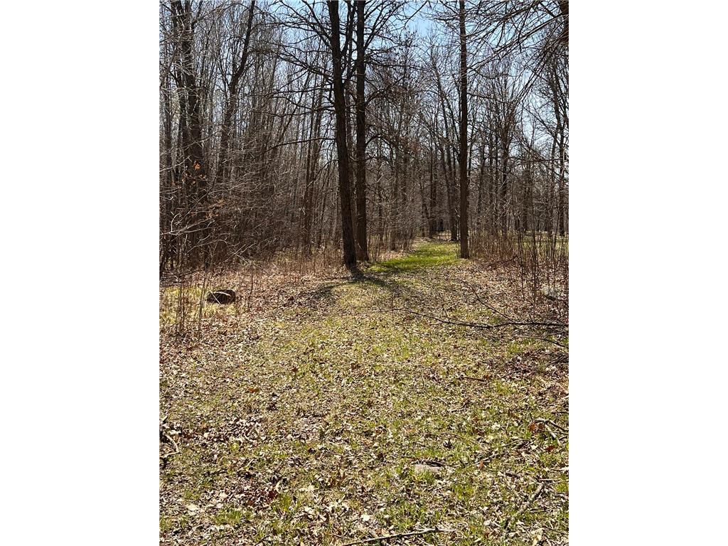 TBD NW 148th Street Cass Lake MN 56633 7072547 image7